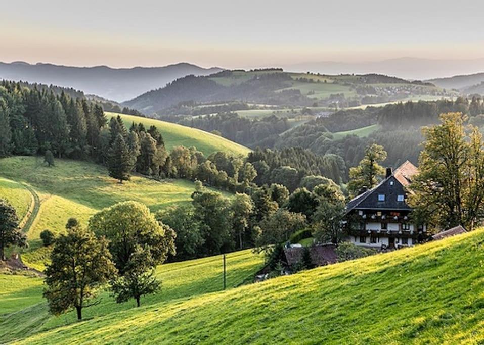 Ferienwohnung Lotti + Hochschwarzwald Card Титизее-Нойштадт Экстерьер фото