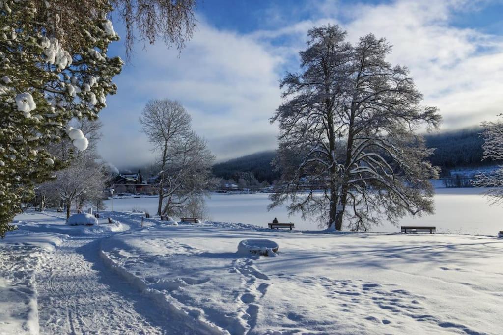 Ferienwohnung Lotti + Hochschwarzwald Card Титизее-Нойштадт Экстерьер фото